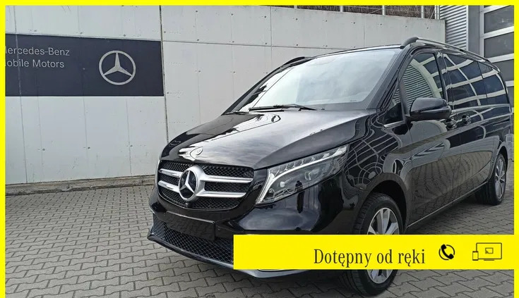 mercedes benz Mercedes-Benz Klasa V cena 394053 przebieg: 15449, rok produkcji 2023 z Włoszczowa